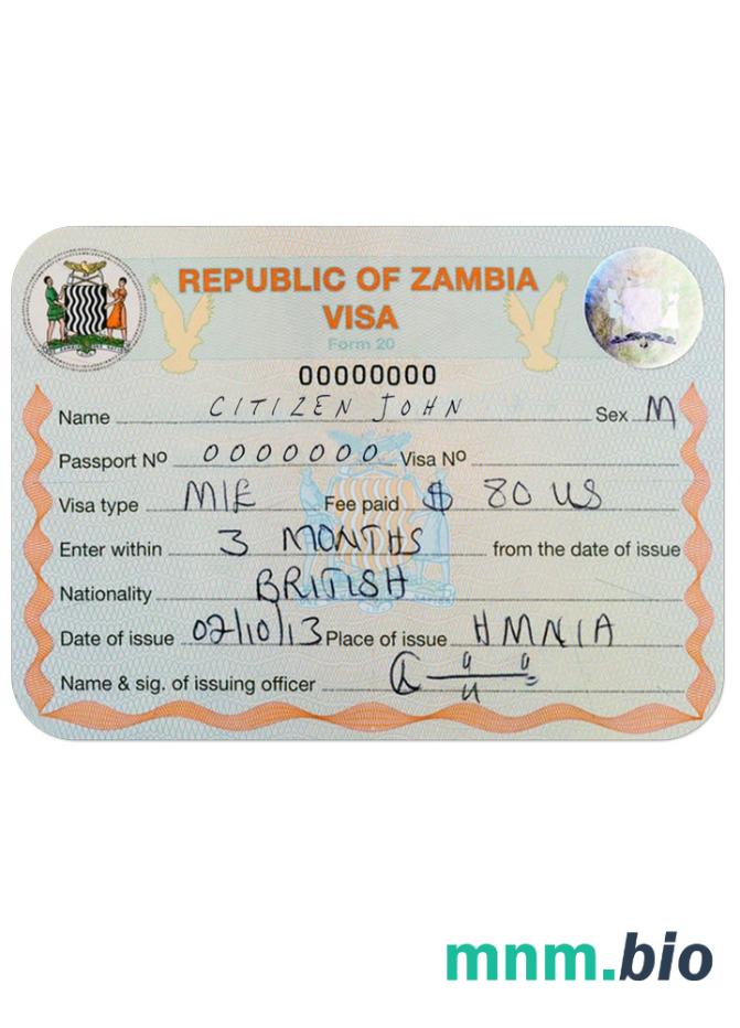 Przykład wizy do Zambii w PSD